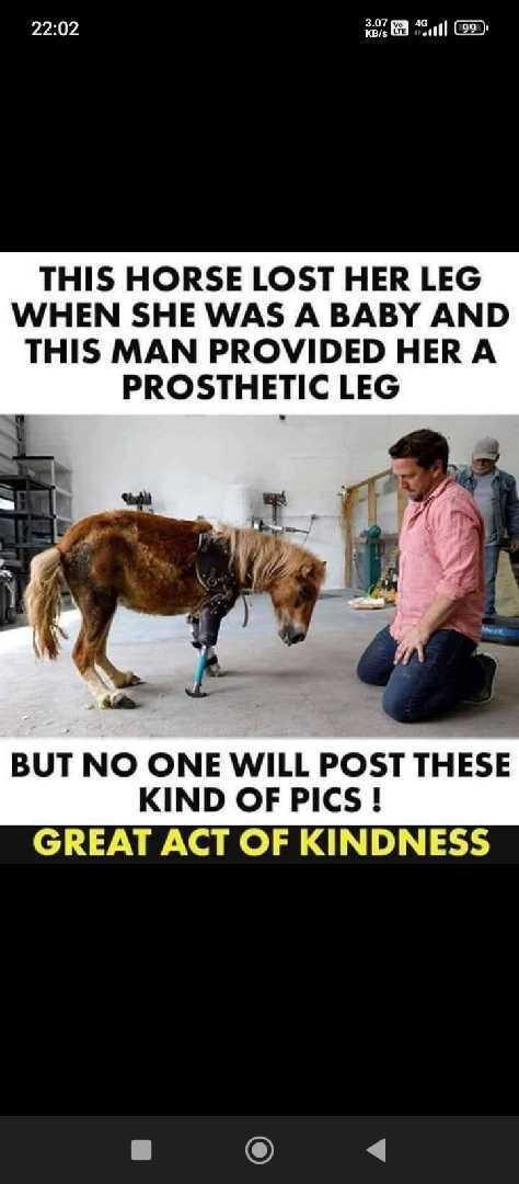 Care About Animal