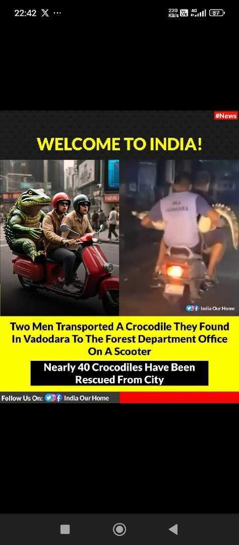 Two Men Transported Crocodile